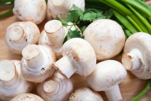 Make Mushroom Stew Using Truffle White Mushrooms